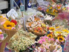 -循礼门鲜花花市(武汉循礼门店)