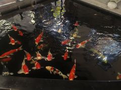 -华庭苑农家乐(旺山店)