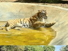 -昆明动物园