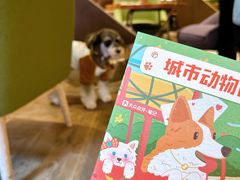 -瑞虹新天地月亮湾