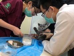 -瑞派·关忠动物医院(国瑞店)