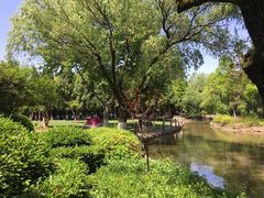 -瀛洲公园