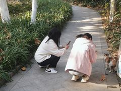-云龙山