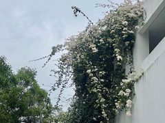 -villaa·别墅·融合菜西餐厅