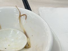 -紫羅蘭酒家(万江石美店)