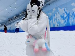 -哈尔滨热雪奇迹