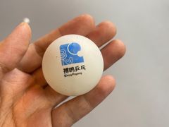 -搏鸣乒乓球俱乐部(万柳店)