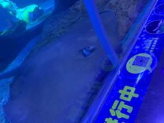 -多彩贵州城极地海洋世界