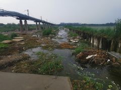 -绿堤公园