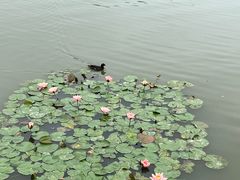-牛岗山公园
