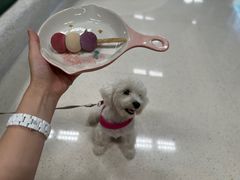 -帕帕拉兹宠物(亚洲旗舰店)