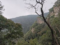 -北京鹫峰国家森林公园