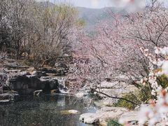-国家植物园