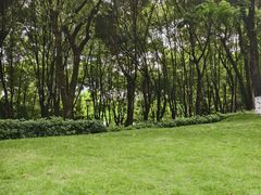 -重庆市江北嘴中央商务区中央公园