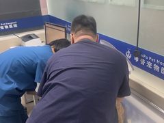 -申普宠物医院·心脏介入·心血管微创(总院)
