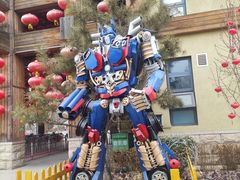 -南宫五洲植物乐园