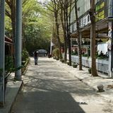 不枉此行，三亚海鲜吃满足啦 