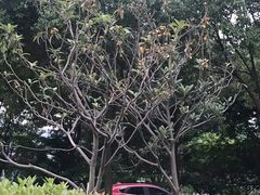 -中国职工之家