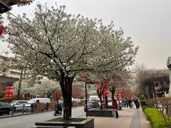 -子午路张记肉夹馍(翠华路店)