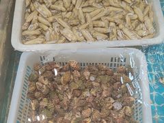 -和源祥·日照菜扛把子(万平口一店)