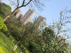 -龙头寺公园