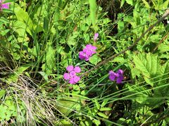 -白草畔自然风景区