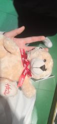 -Hamleys哈姆雷斯(东方福来德店)