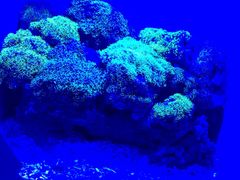 -洛阳龙门海洋馆
