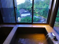 -台北北投丽禧温泉酒店