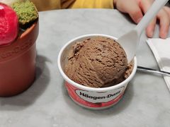 -哈根达斯(虹口店)