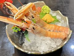 -左舞日本料理