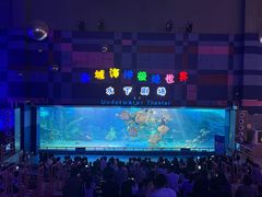 -泉城欧乐堡海洋极地世界