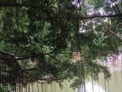 -西湖公园(鼓楼区)