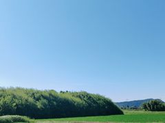-良渚古城遗址公园