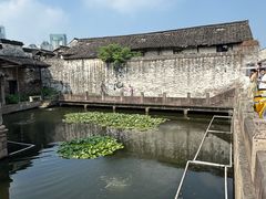 -寻宝记绍兴菜(状元店)