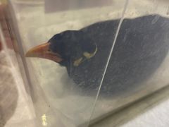 -雨林宠物医院 非犬猫异宠专科