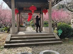-雨花胜境