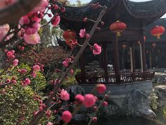 -檀园