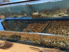 -冀粤香海鲜自助餐厅(西美五洲店)