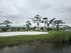-黑龙江扎龙生态旅游区