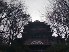 -东湖磨山景区