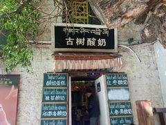 -古树酸奶(八廓南街店)