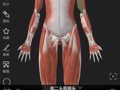 -锐动健身游泳(博地中心店)