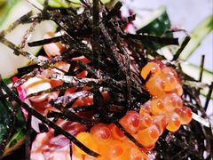 -Wagas沃歌斯(大学路店)