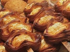 -蒲公英(五里店)