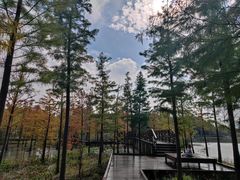 -昆山城市生态森林公园