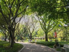 -东风公园