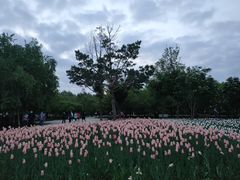 -长春公园(普阳街道)