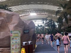 -杭州开元森泊度假乐园