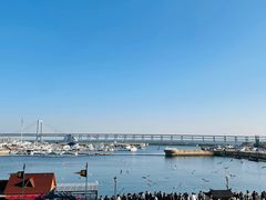 -大连圣亚海洋世界